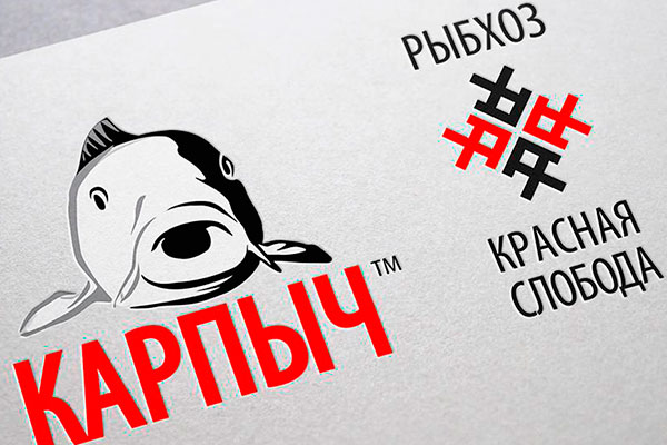 брендинг солигорск