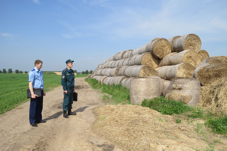 Мониторинг мест хранения грубых кормов