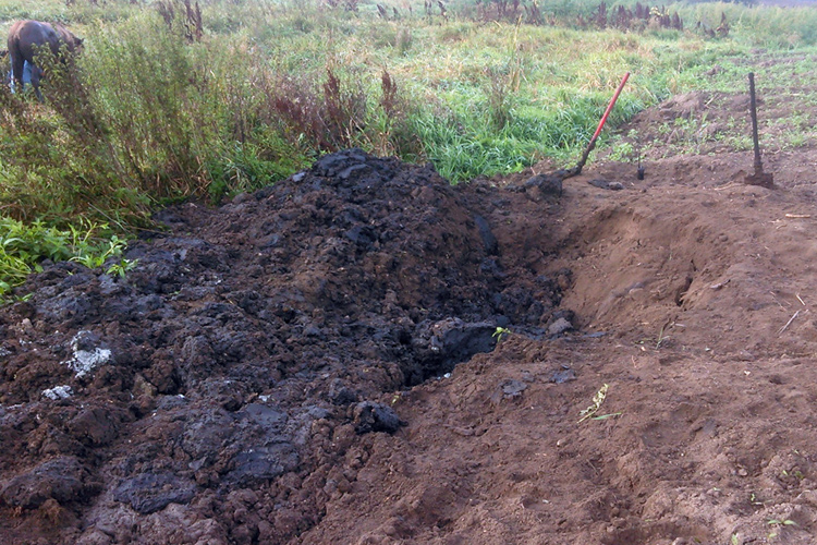 Спасение лошади, провалившейся под Землю