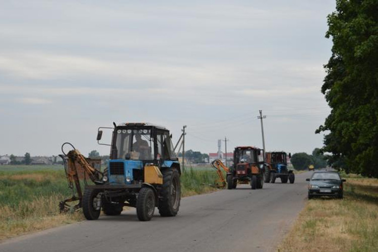 Уничтожение поля дикорастущей конопли
