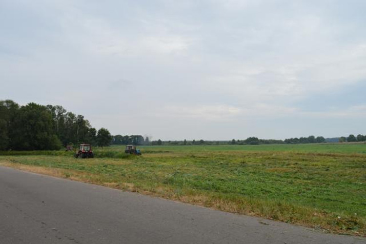 Уничтожение поля дикорастущей конопли