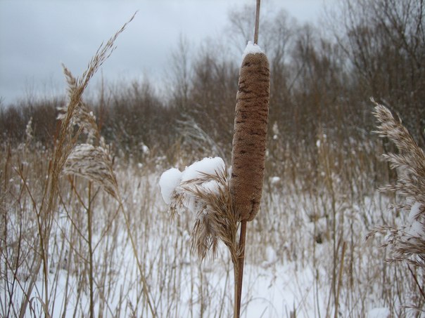 зима в Солигорске