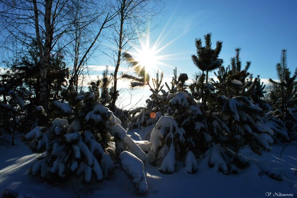 зима в Солигорске