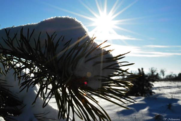 зима в Солигорске
