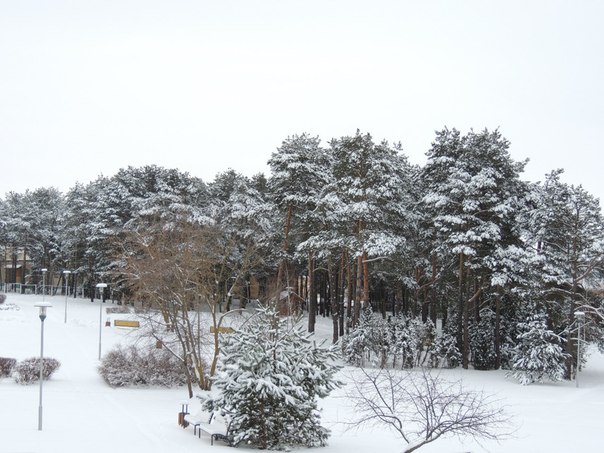 зима в Солигорске