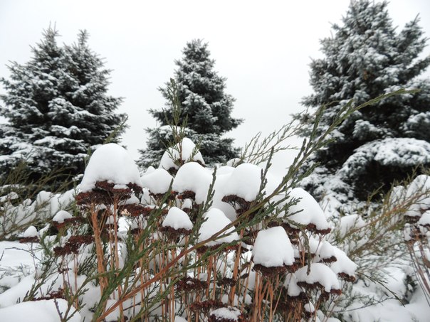 зима в Солигорске