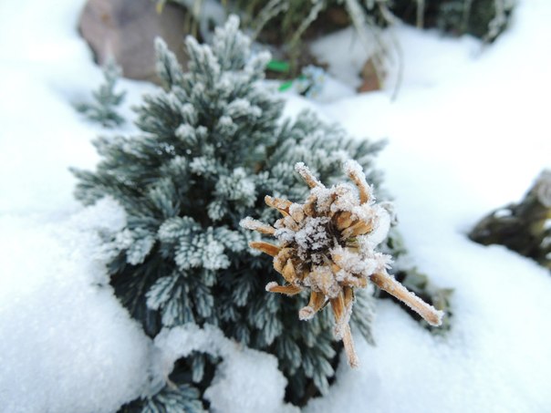 зима в Солигорске