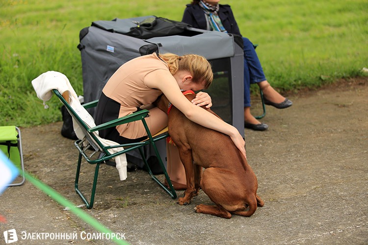 выставка собак в Солигорске