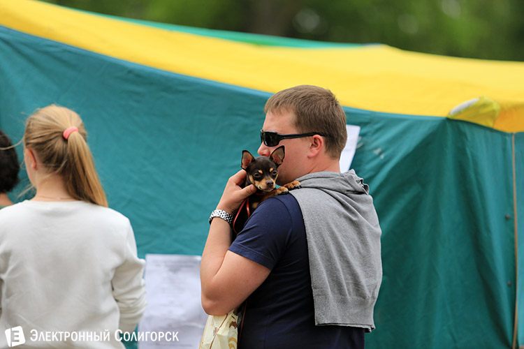 выставка собак в Солигорске