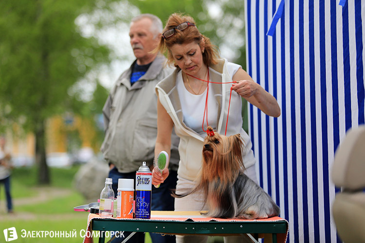 выставка собак в Солигорске