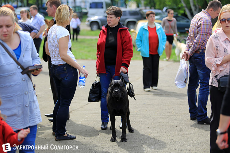 выставка собак в Солигорске