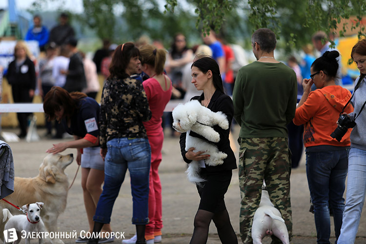 выставка собак в Солигорске