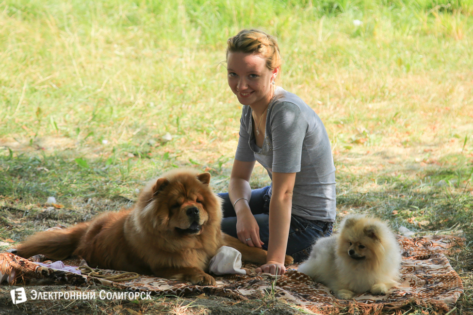 выставка собак в Солигорске