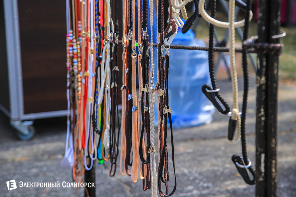 выставка собак в Солигорске