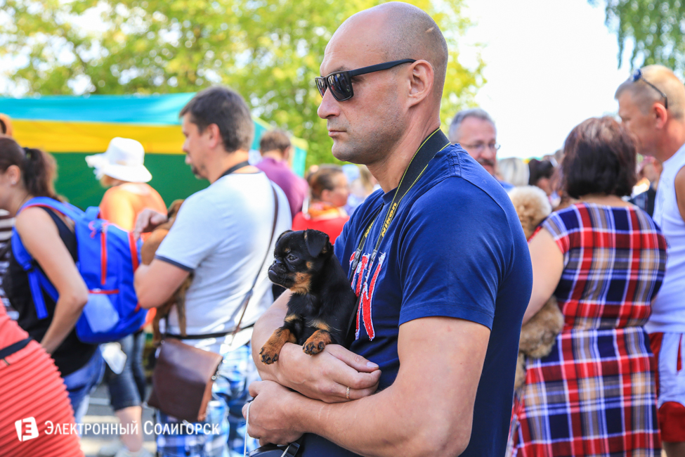 выставка собак в Солигорске