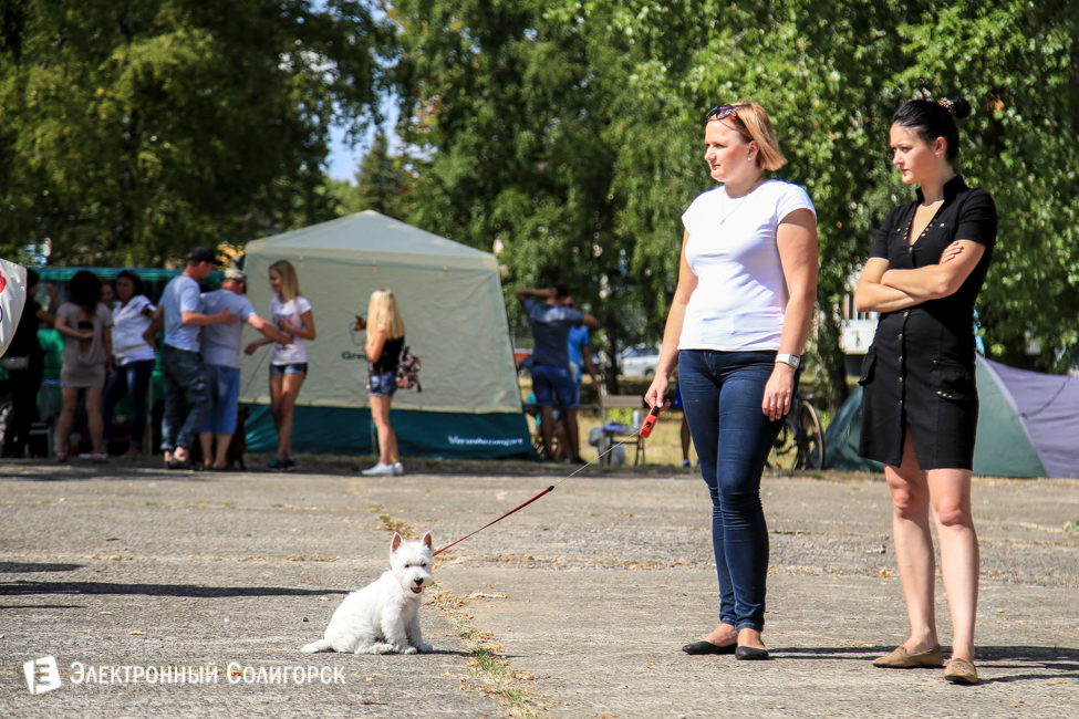 выставка собак в Солигорске