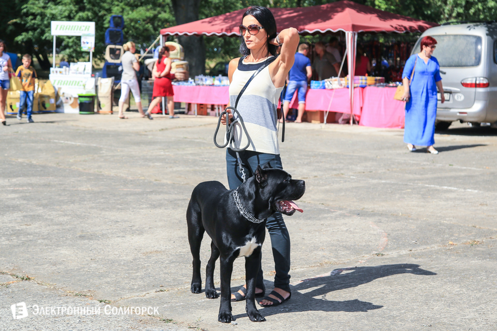 выставка собак в Солигорске