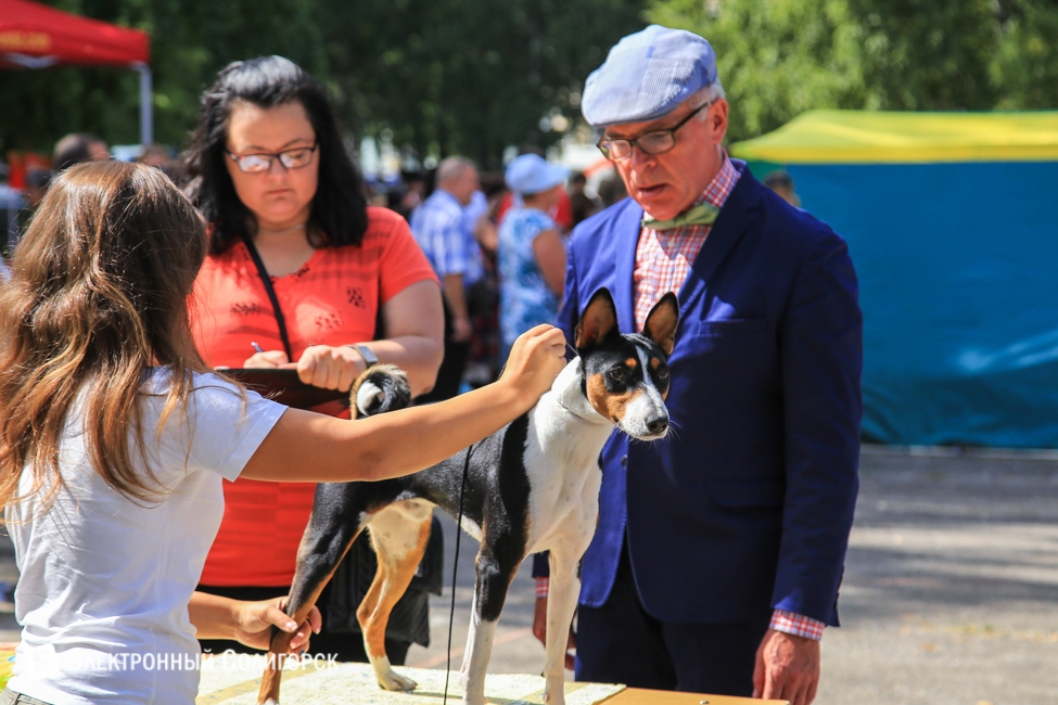 выставка собак в Солигорске
