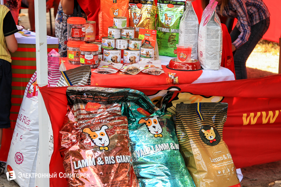 выставка собак в Солигорске