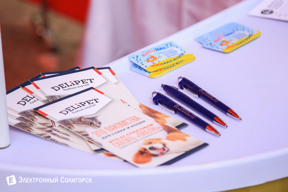 выставка собак в Солигорске