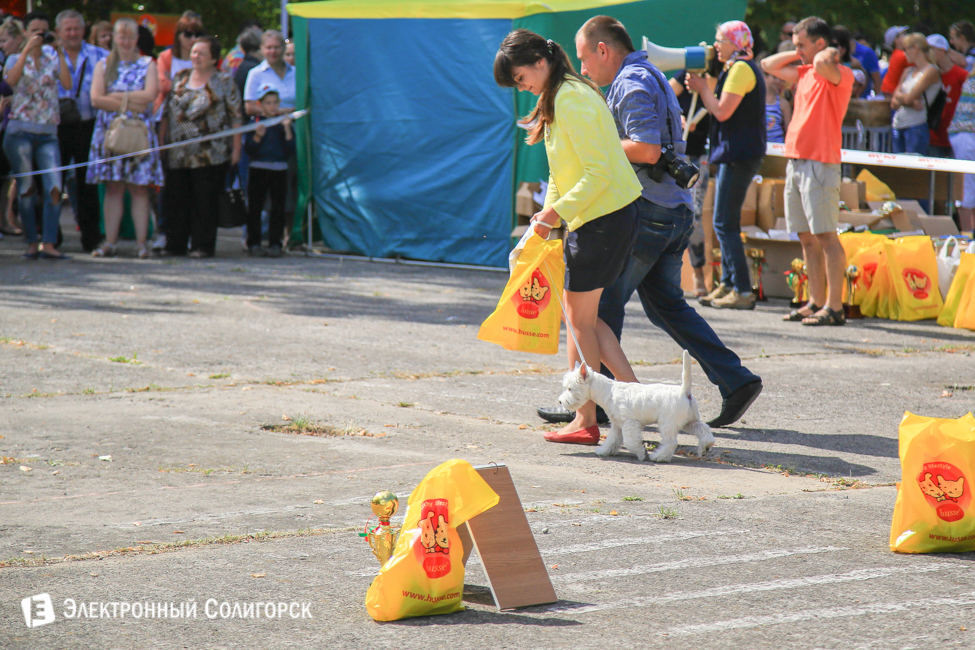 выставка собак в Солигорске