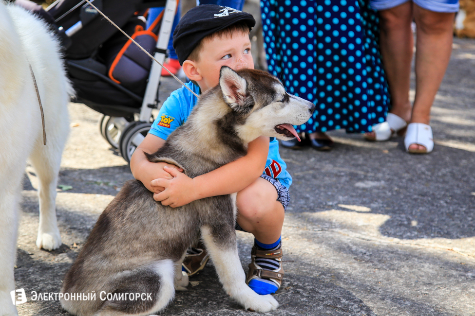 выставка собак в Солигорске