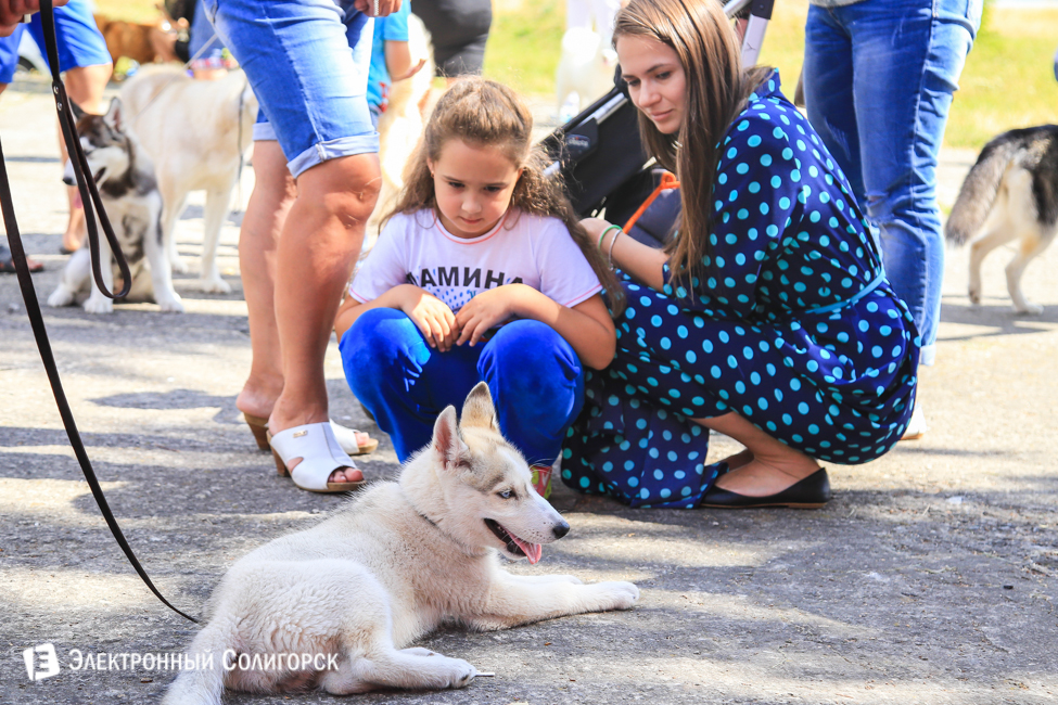 выставка собак в Солигорске