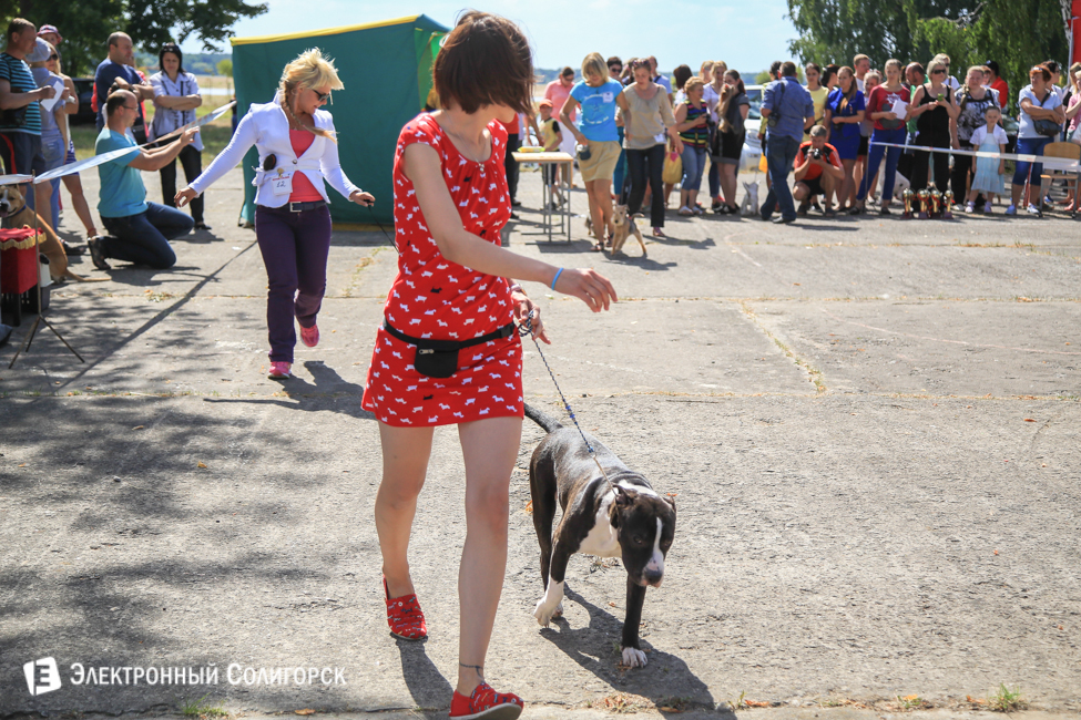 выставка собак в Солигорске