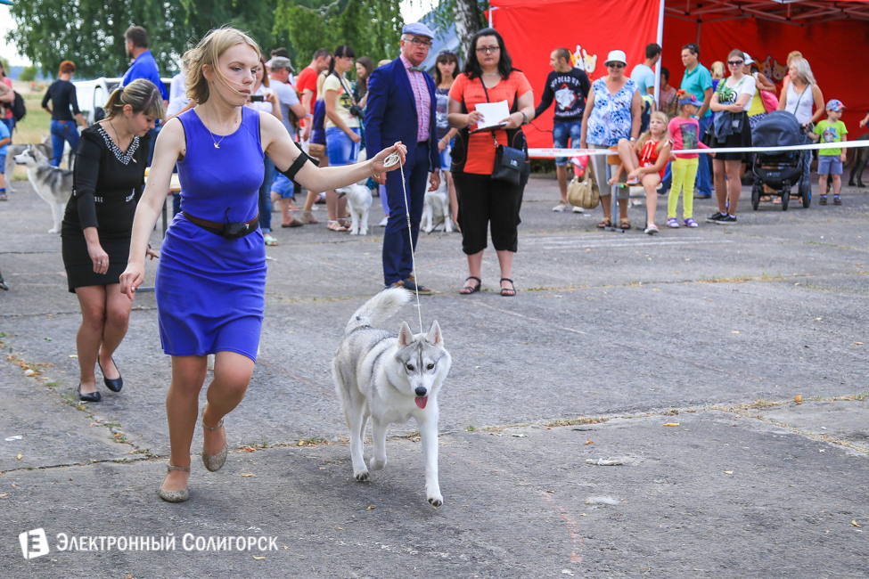 выставка собак в Солигорске
