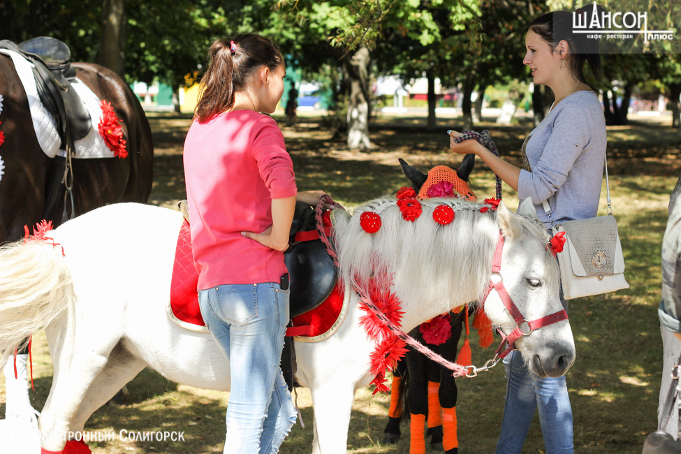 день города Солигорск