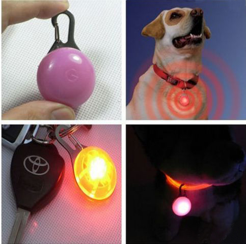 светящийся ошейник купить солигорск