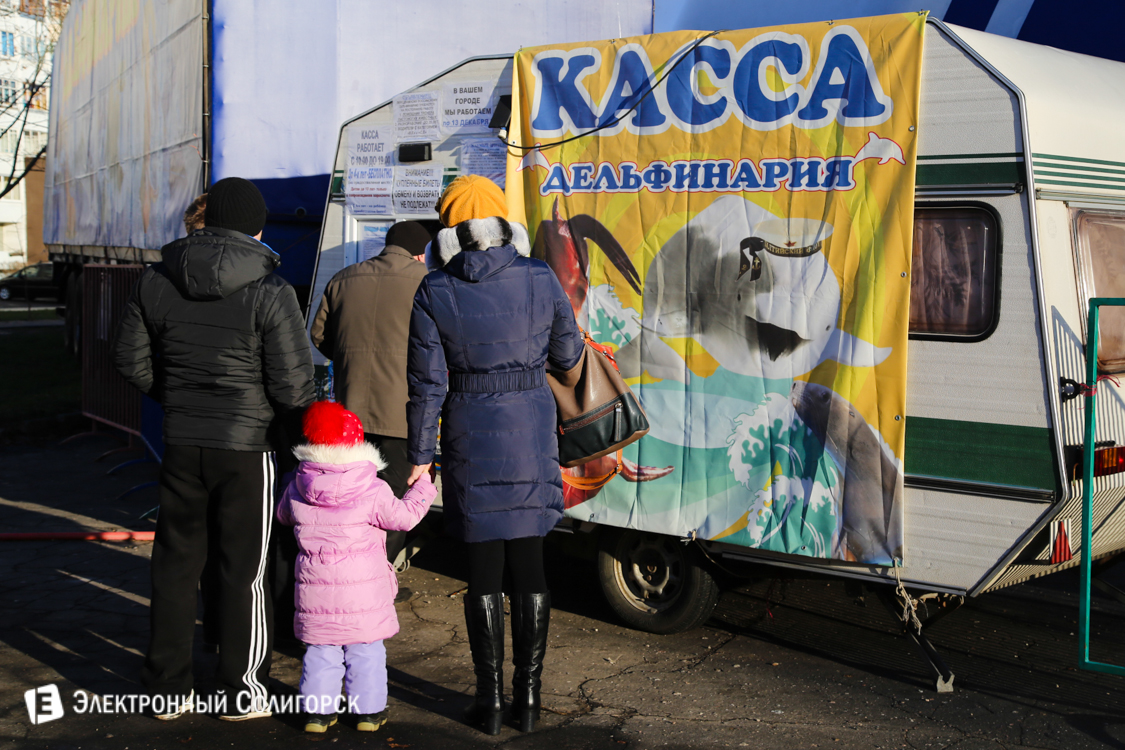 дельфинарий в Солигорске