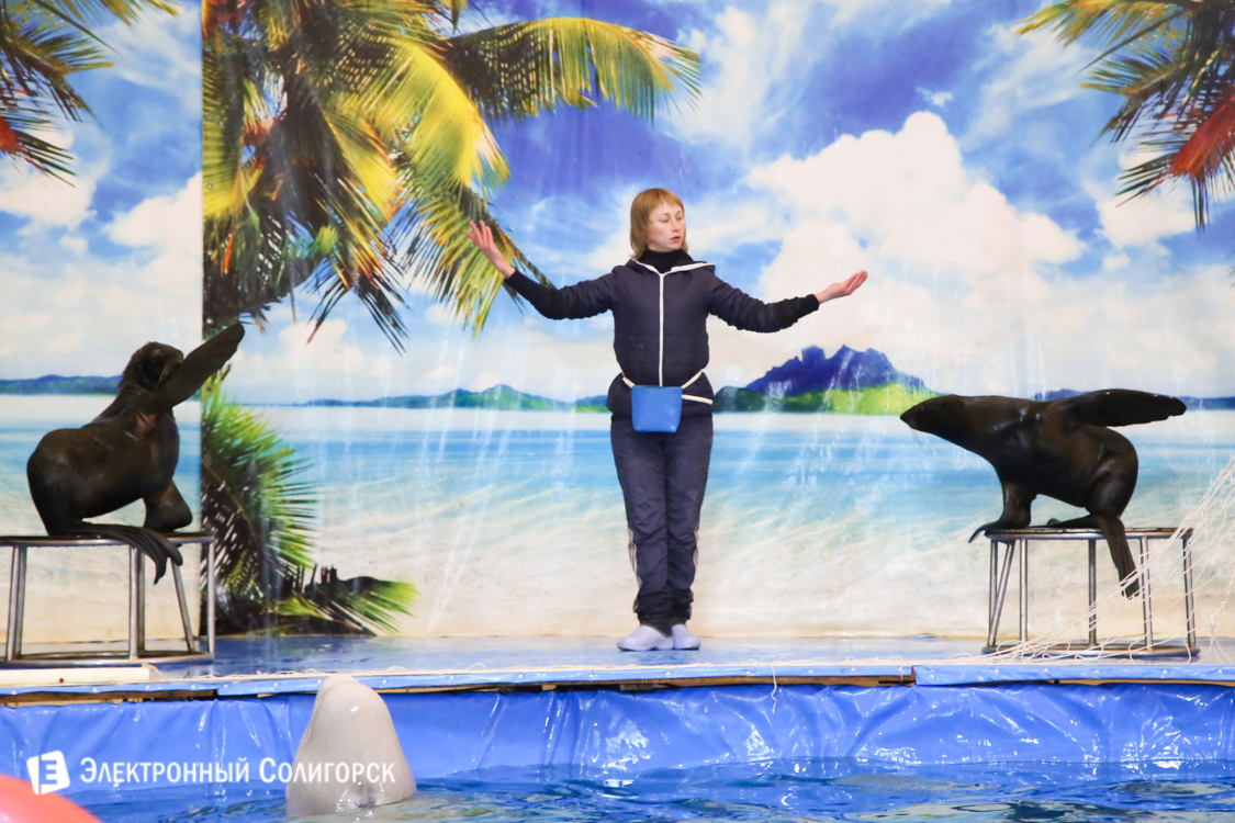 Дельфинарий в Солигорске