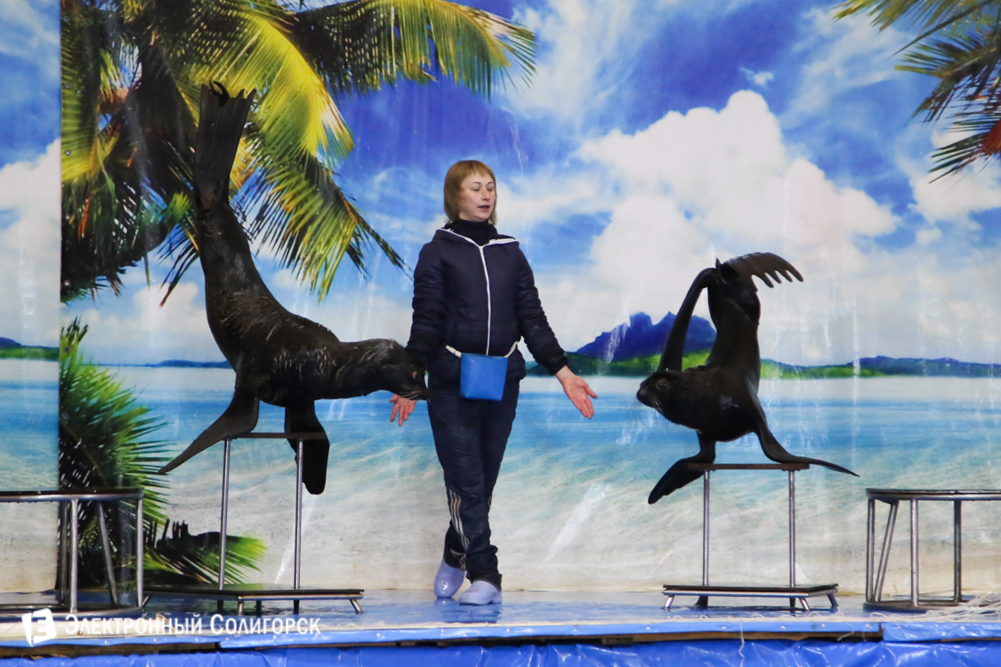 Дельфинарий в Солигорске