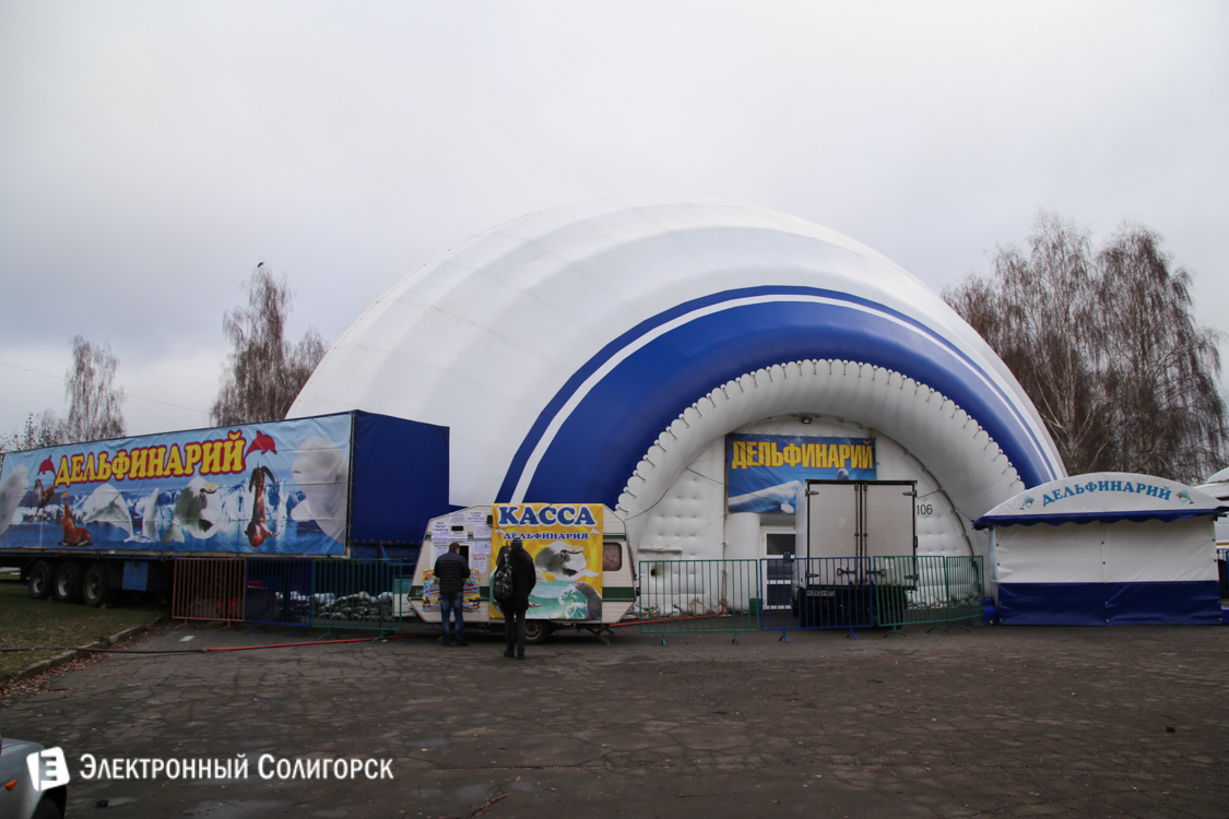 дельфинарий в Солигорске