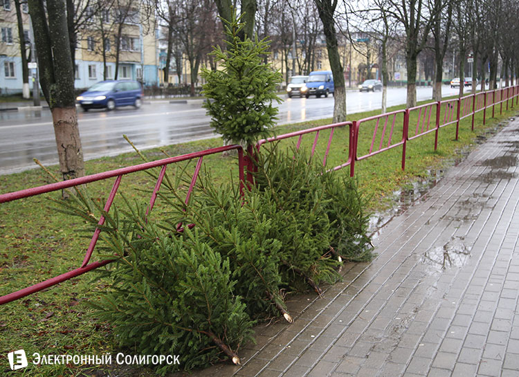 елочные базары Солигорск