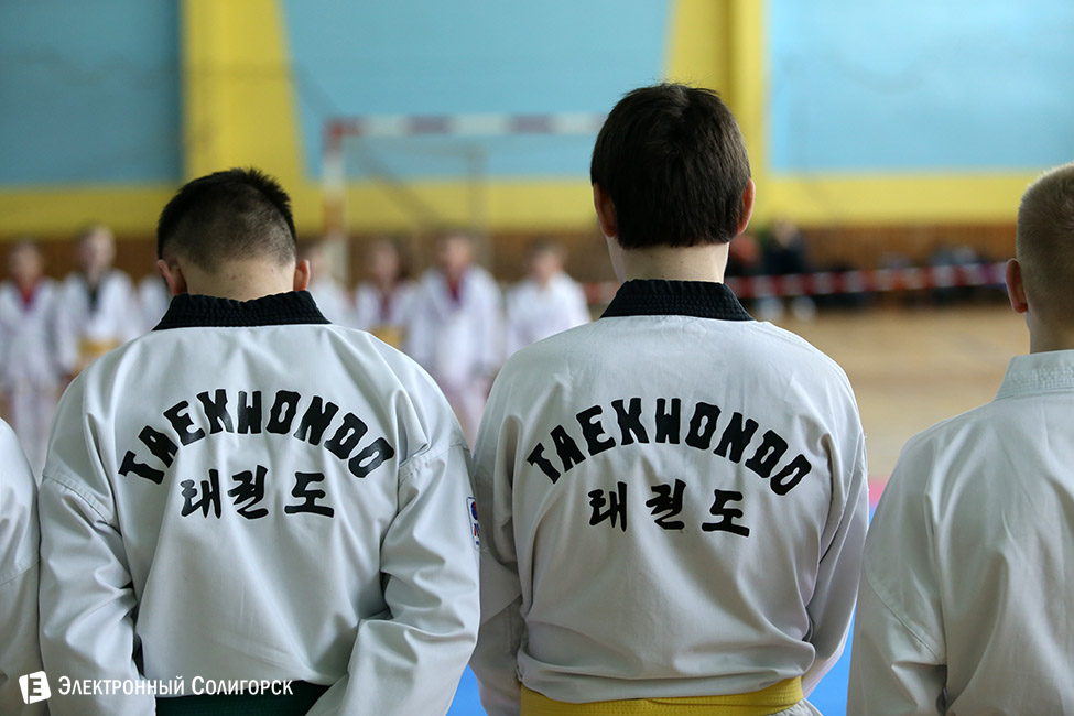 taekvondo 15