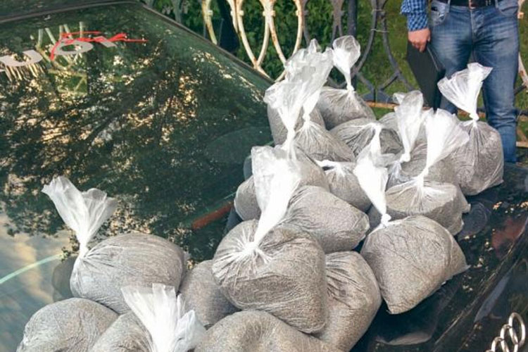 мак наркотики Солигорск