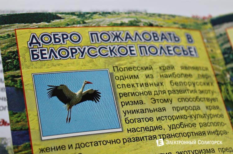 агротуризм в беларуси