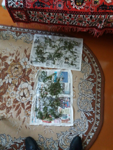 наркопритон в солигорске