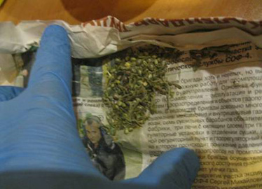 наркопритон в солигорске