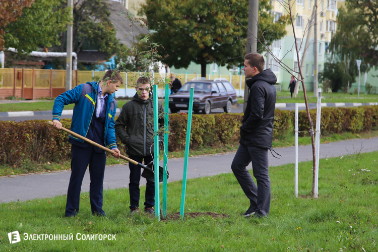 Аллея Матери в Солигорске
