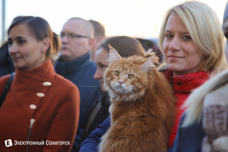 арендный дом ОАО Беларуськалий