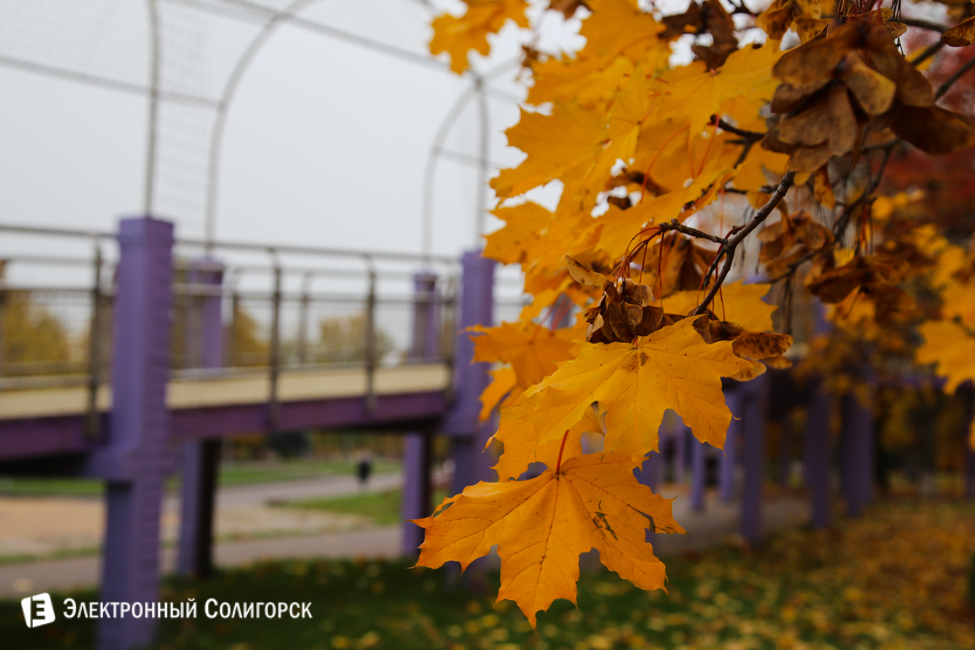 осень в солигорске