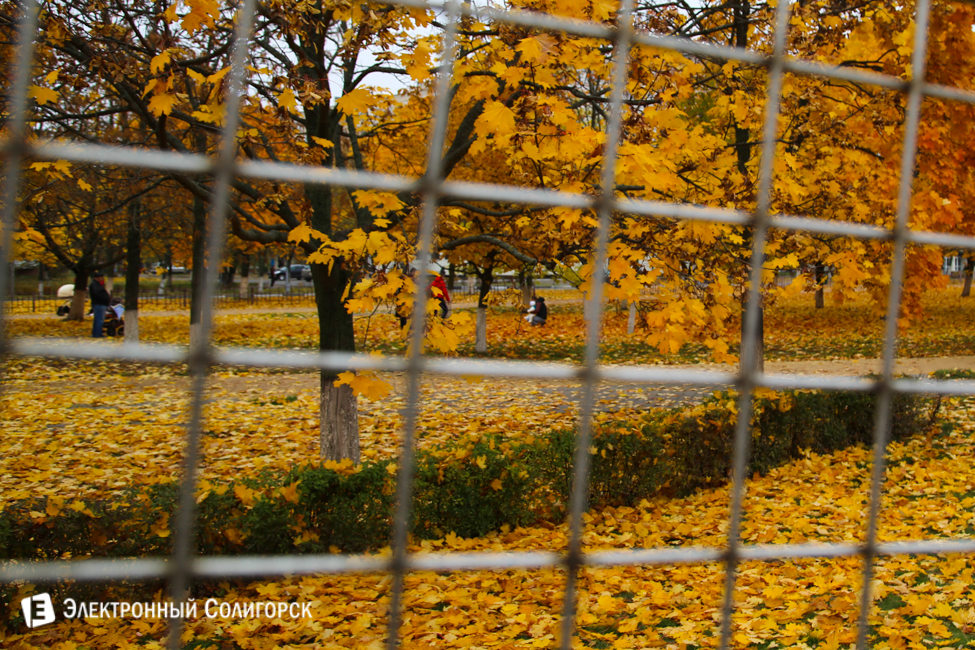 осень в солигорске