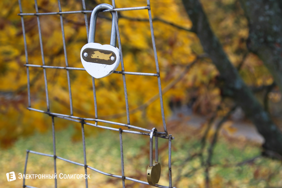 осень в солигорске