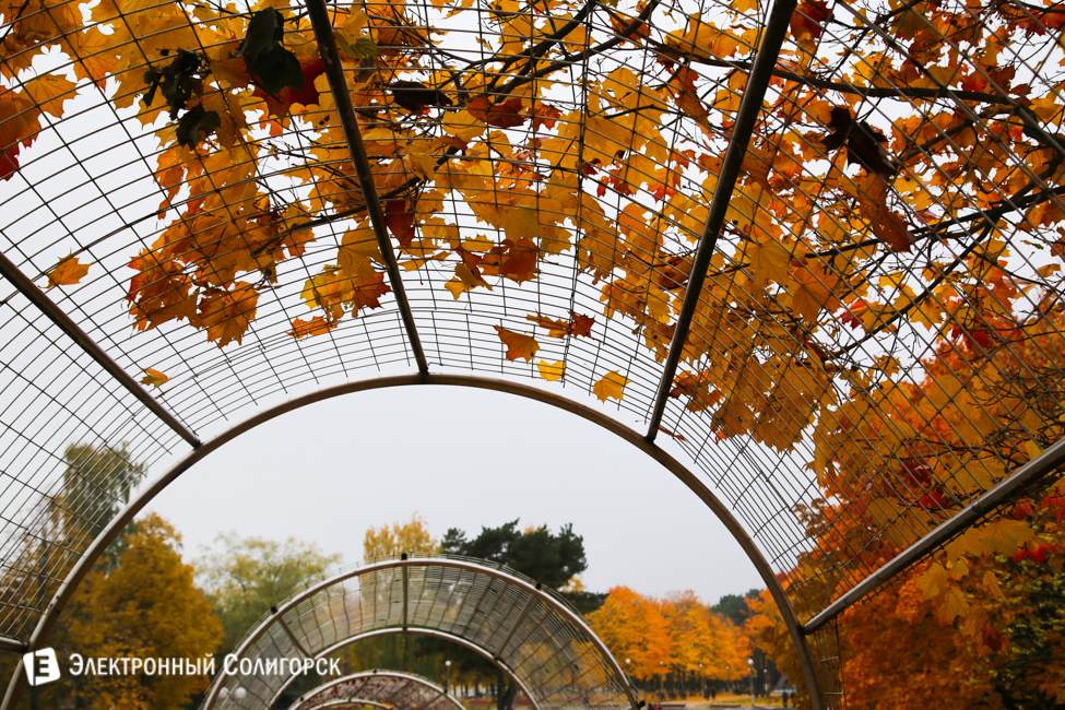 осень в солигорске