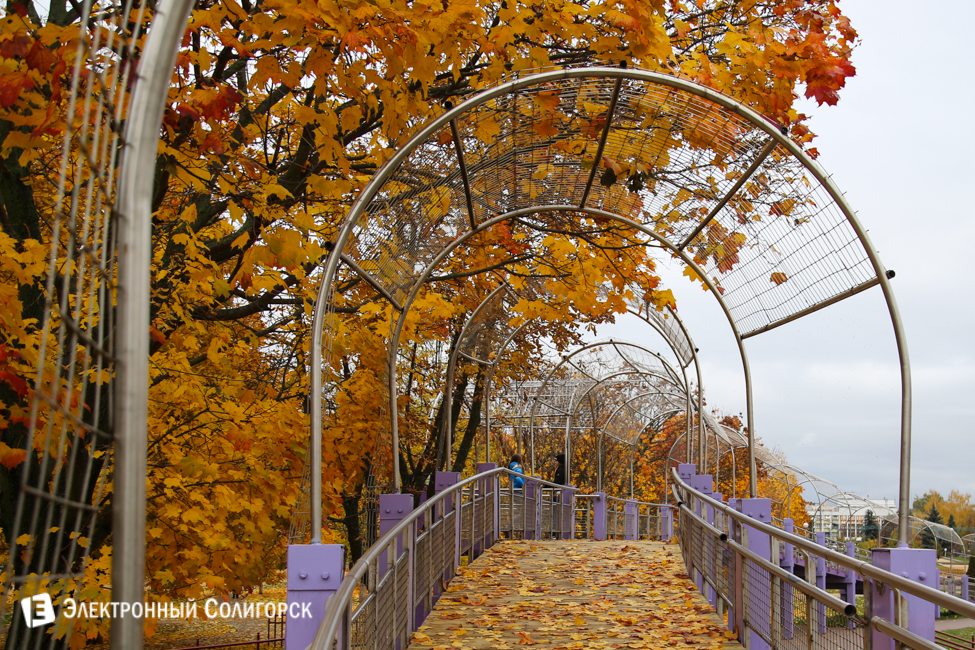 осень в солигорске