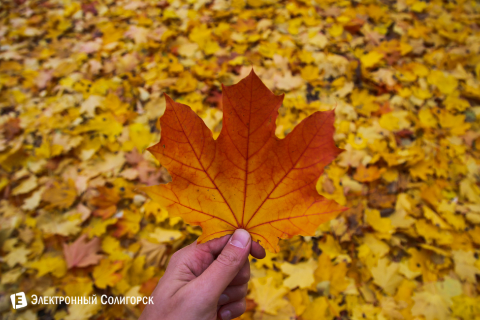 осень в солигорске