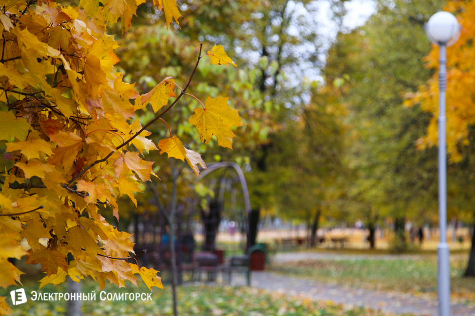 осень в солигорске